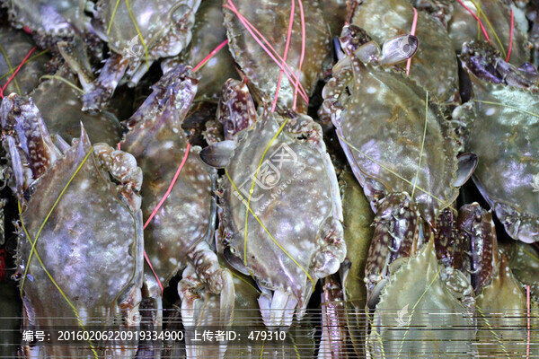海鮮,美食,飛蟹,螃蟹
