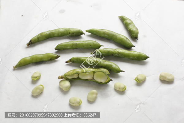 胡豆角,單個(gè)胡豆