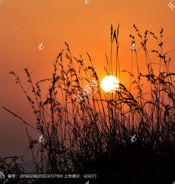 夕陽(yáng)落日