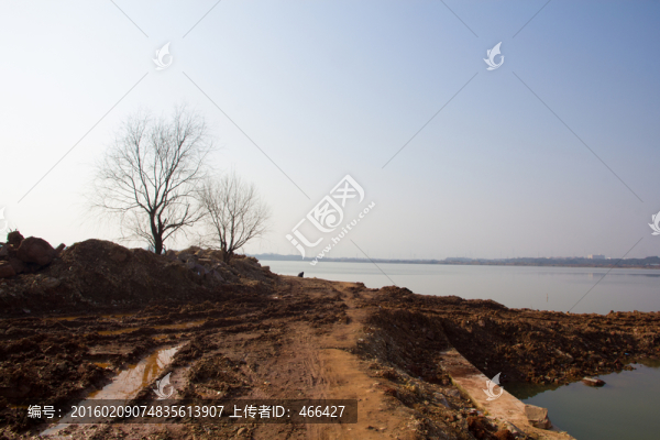 道路,枯樹,黃土