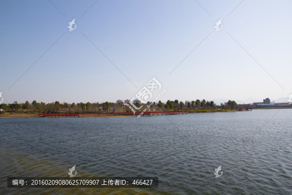 水波,公園,藍天,樹木