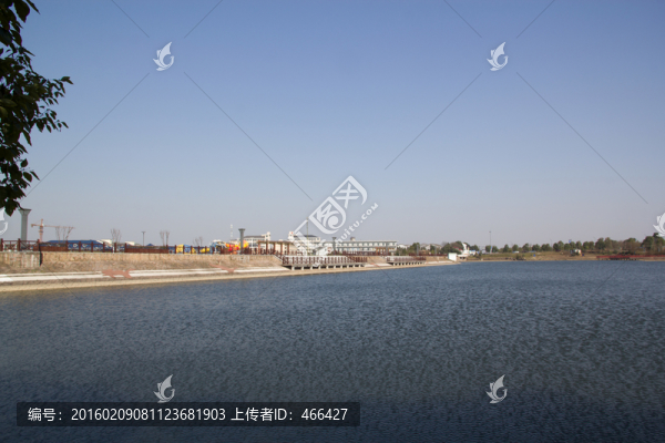 公園,湖水,樹木