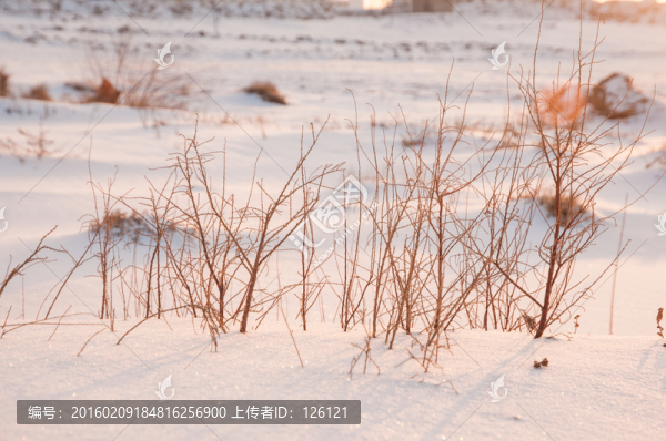 戈壁灘雪景