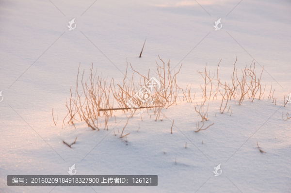 戈壁灘雪景
