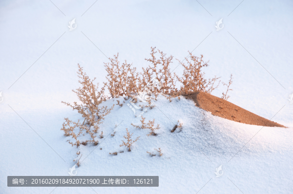 戈壁灘雪景