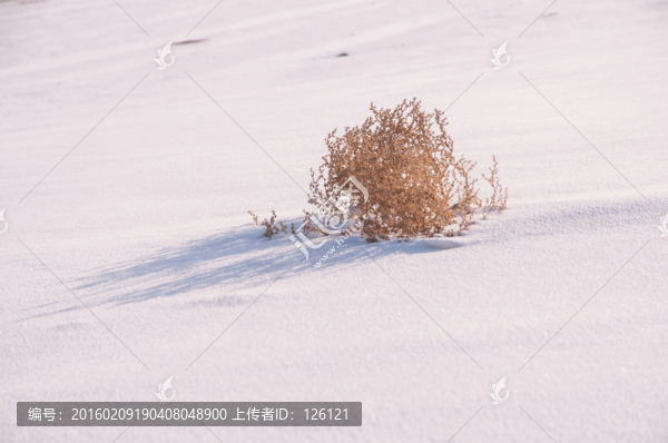 戈壁灘雪景