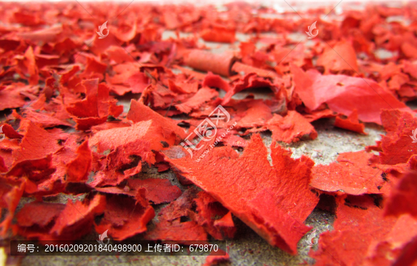鞭炮紅衣