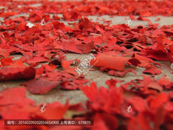 鞭炮紅衣