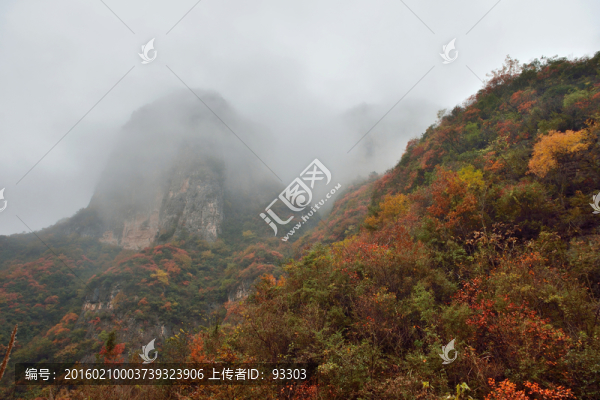 自然風光
