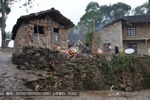 農(nóng)家小院