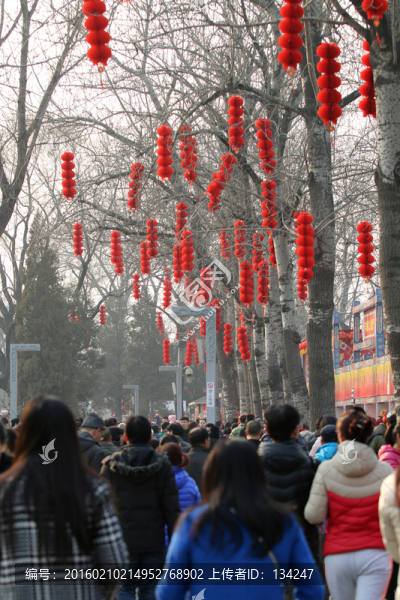 龍?zhí)逗R會(huì)人群