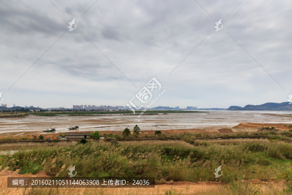 海邊灘涂風(fēng)光