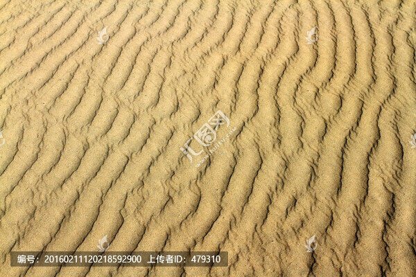 沙漠,沙洲,高清紋理,沙子