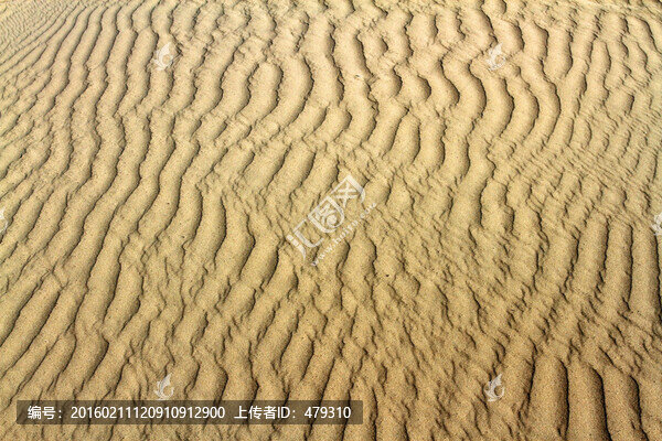 沙漠,沙洲,高清紋理,沙子