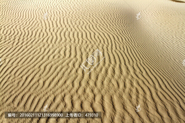 沙漠,沙洲,高清紋理,沙子