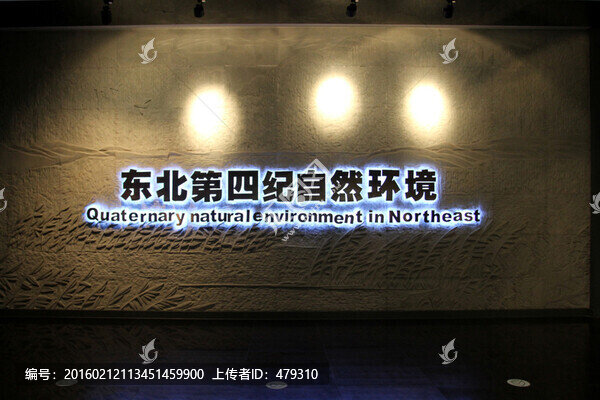 大慶,博物館,展板,展示,燈光