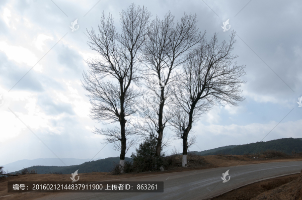 昆明東川紅土地