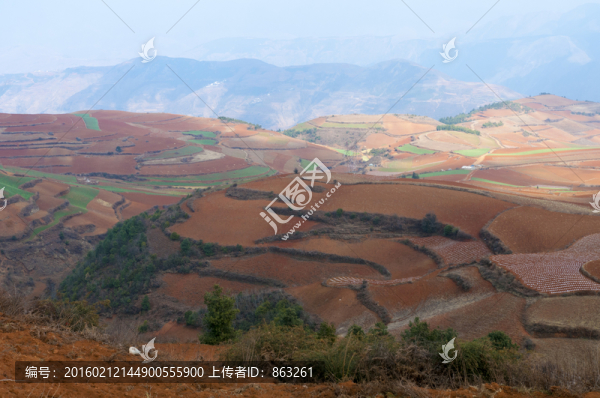 昆明東川紅土地