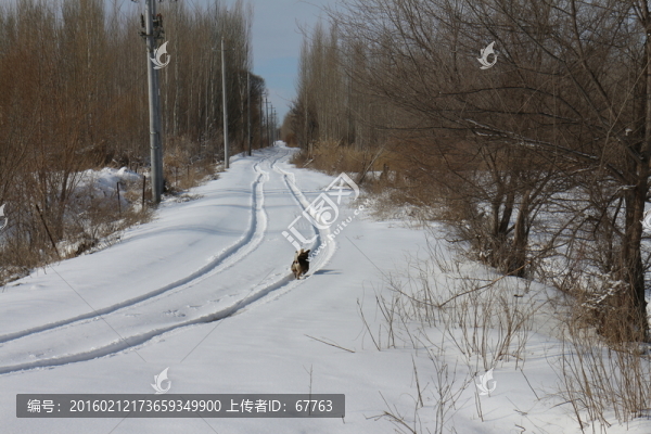 雪路