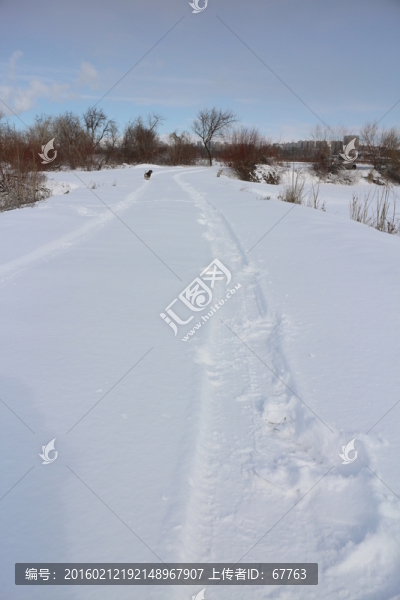 雪路車(chē)轍