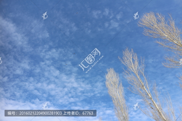 鷹擊長(zhǎng)空
