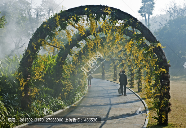 拱形花門,婚紗背景