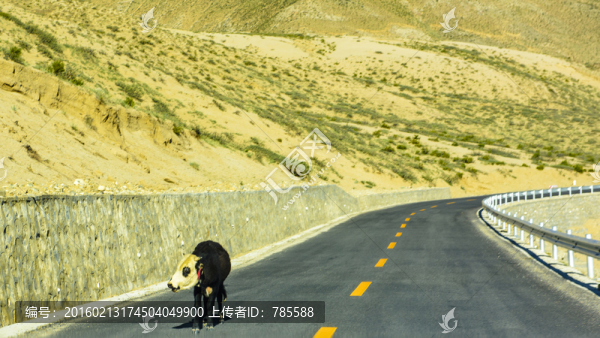 山南公路