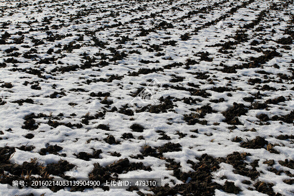 北大荒,黑土地,冬天,白雪,冬