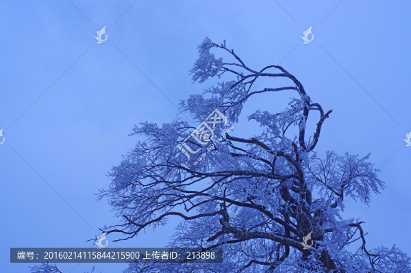 風雪