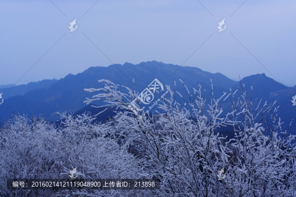 荔波雪景