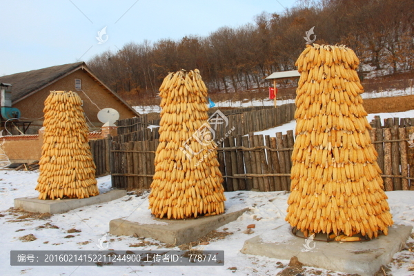 玉米堆