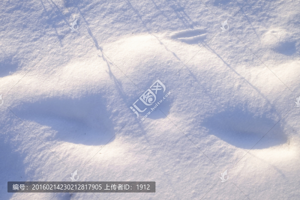 冬雪