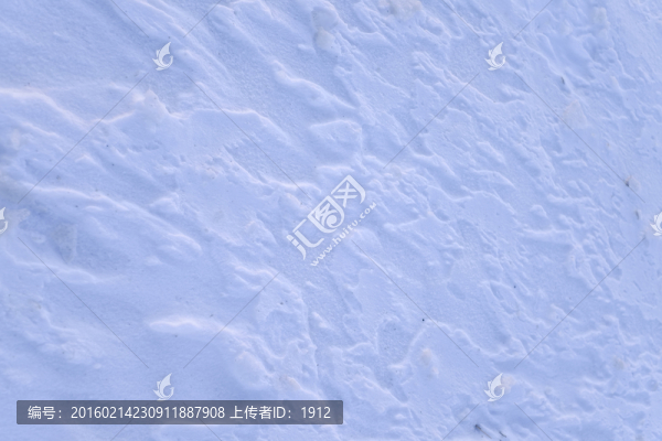 冬雪