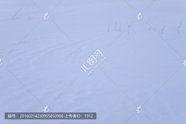 雪地