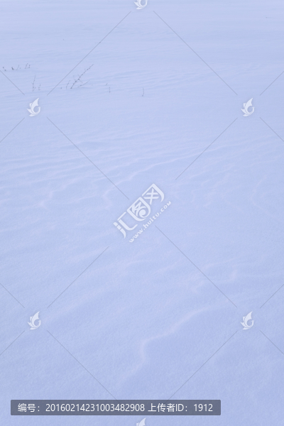 雪地