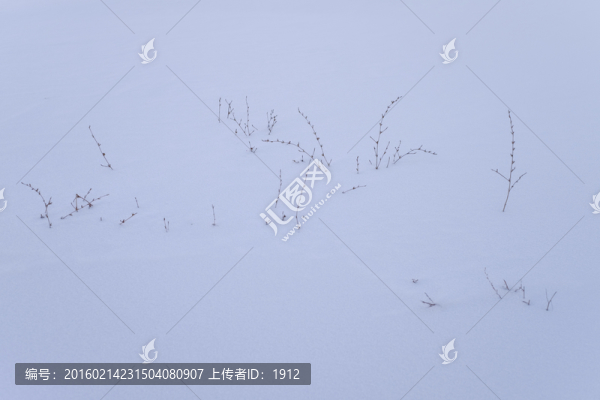 雪地
