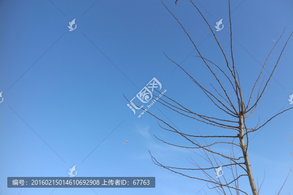 藍(lán)天,飛機(jī)
