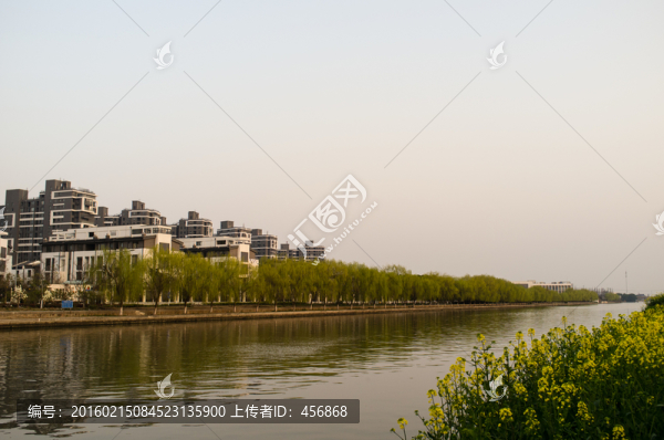 河流,春天