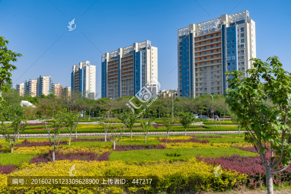 山東膠州城市風光