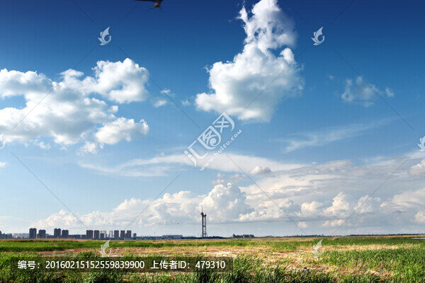 濕地,春天,蘆葦,藍(lán)天,白云