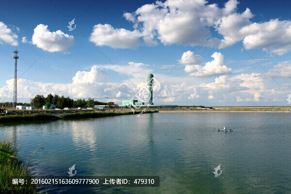 濕地,春天,蘆葦,藍天,白云
