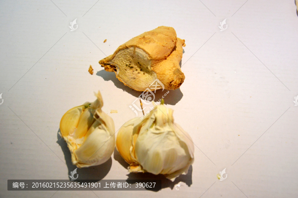 老姜和大蒜頭
