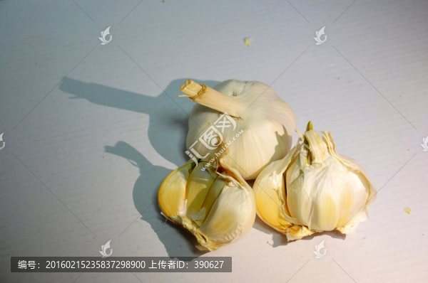 大蒜頭