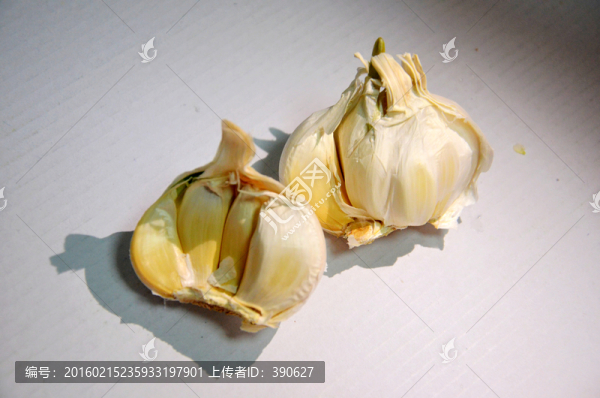 大蒜頭