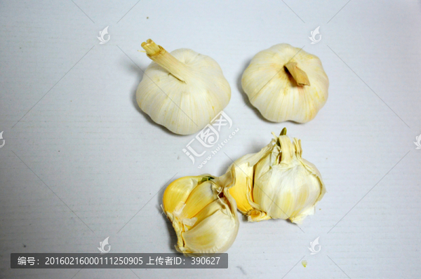 大蒜頭