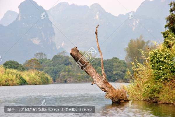 河流與枯樹(shù)
