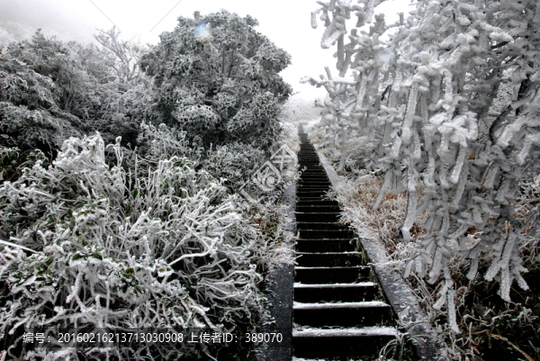 霧凇雪景