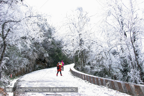 霧凇雪景