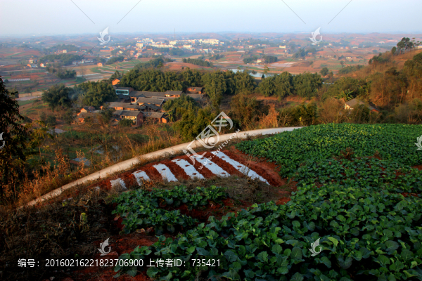 山區(qū)農(nóng)田