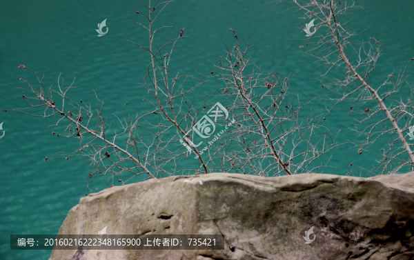 清澈湖水